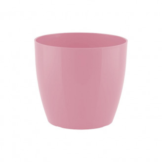 San Remo Pot 6cm Rose