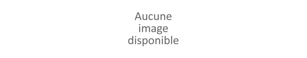 En pot Céramique